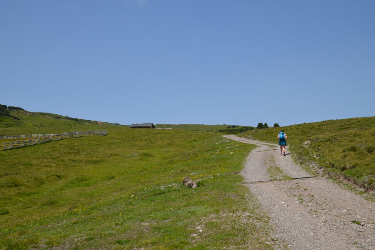 Platzer Alm 27.06.2022